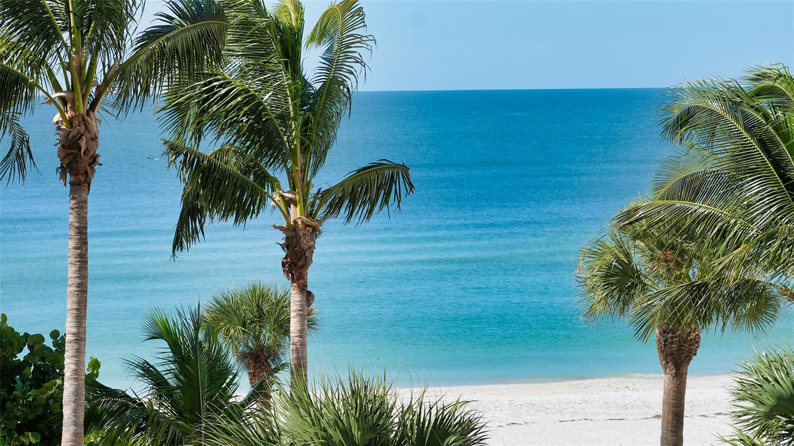 Image 25 of 40 For 1800 Benjamin Franklin Drive B207