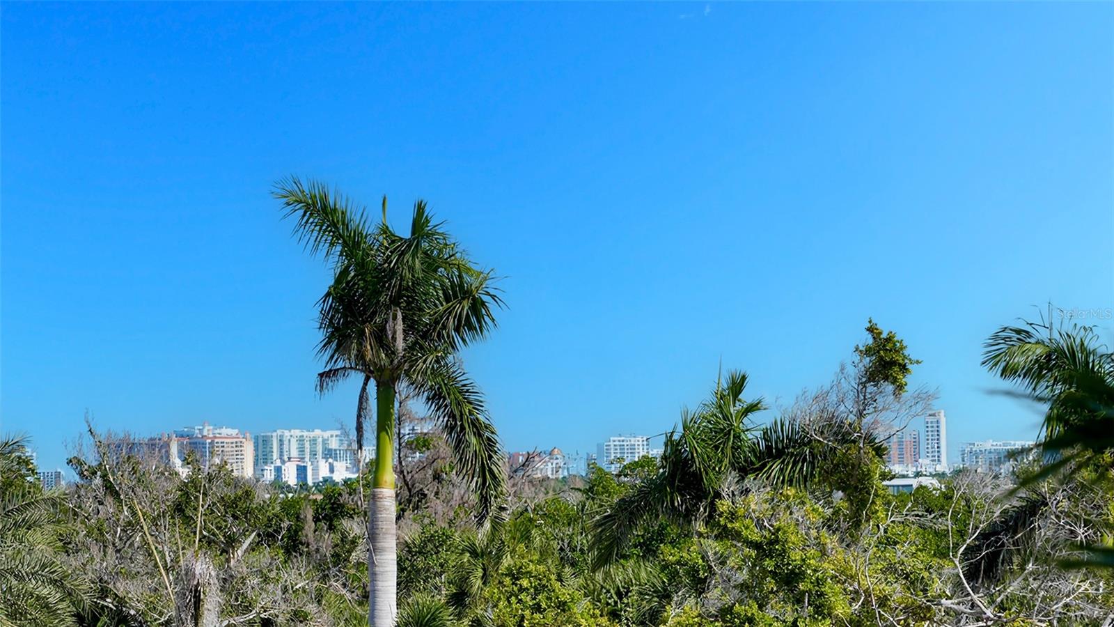 Image 30 of 40 For 1800 Benjamin Franklin Drive B207