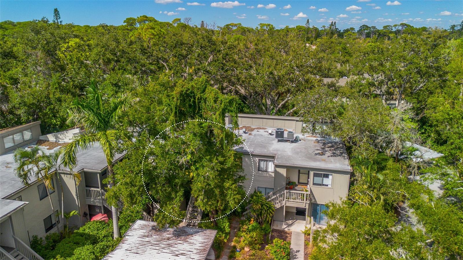 Image 43 of 75 For 1508 Pelican Cove Road 230