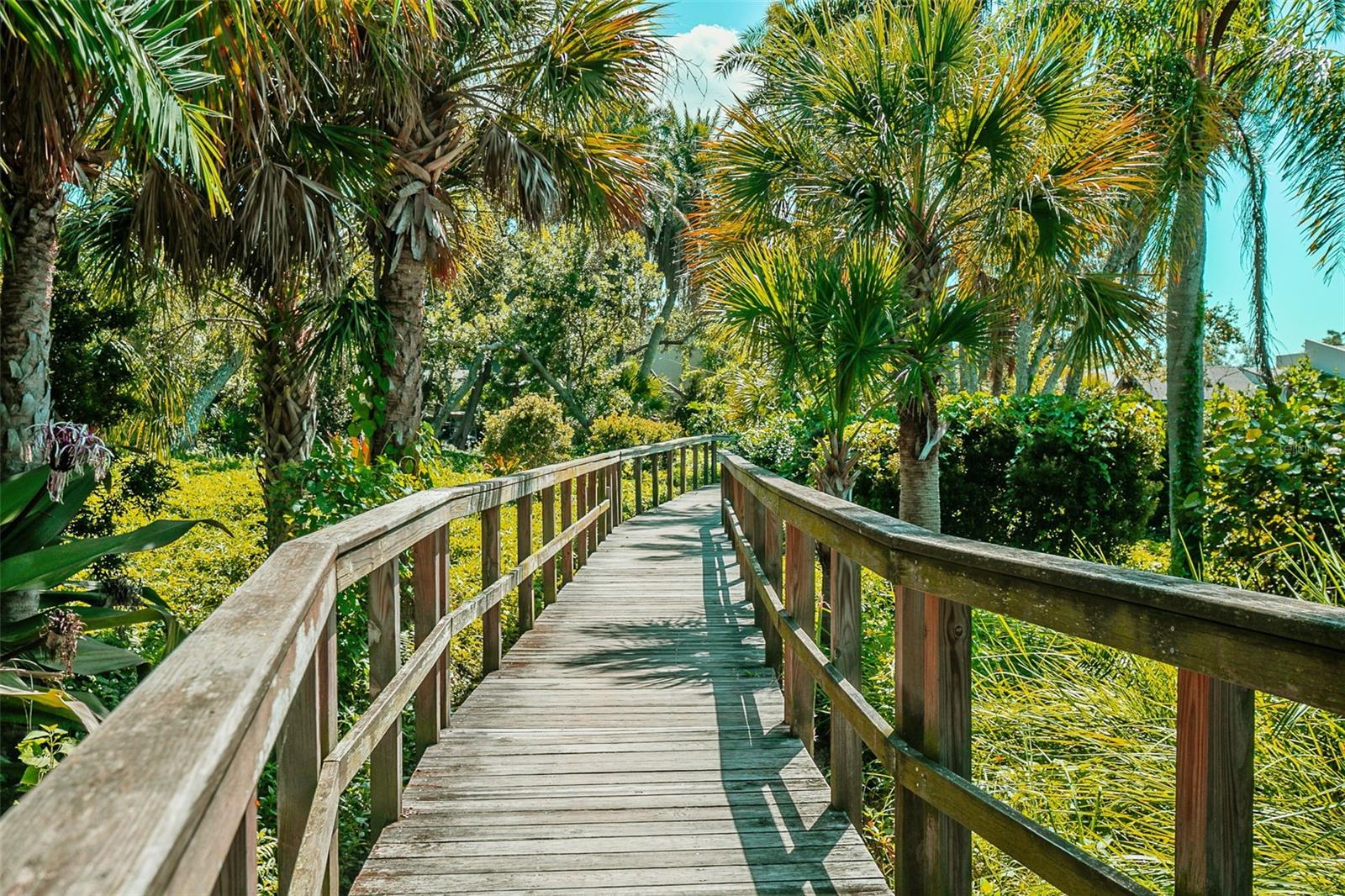 Image 62 of 75 For 1508 Pelican Cove Road 230