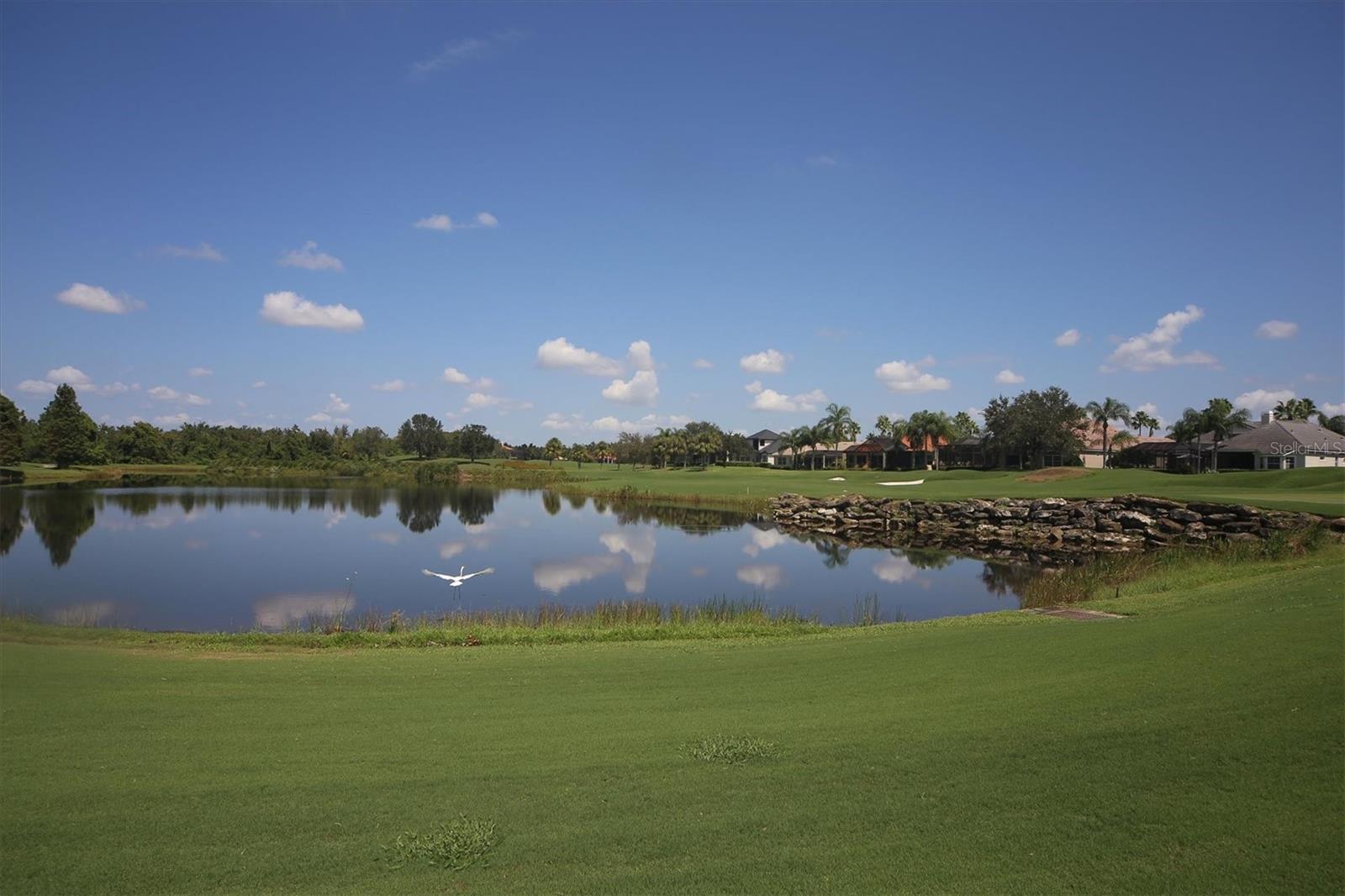 Image 52 of 68 For 13853 Siena Loop