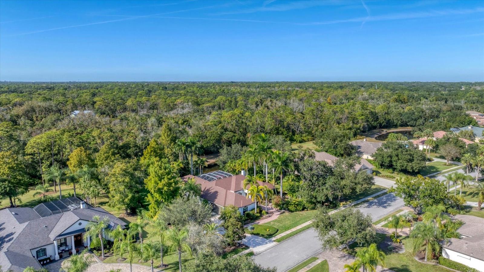 Image 4 of 76 For 9979 Cherry Hills Avenue Circle