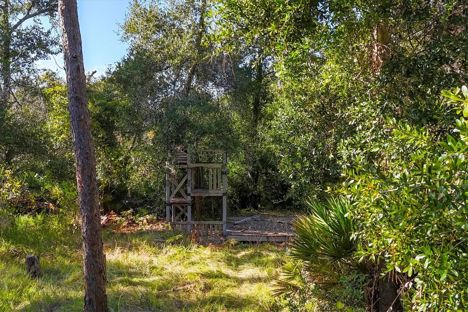 Image 58 of 76 For 9979 Cherry Hills Avenue Circle