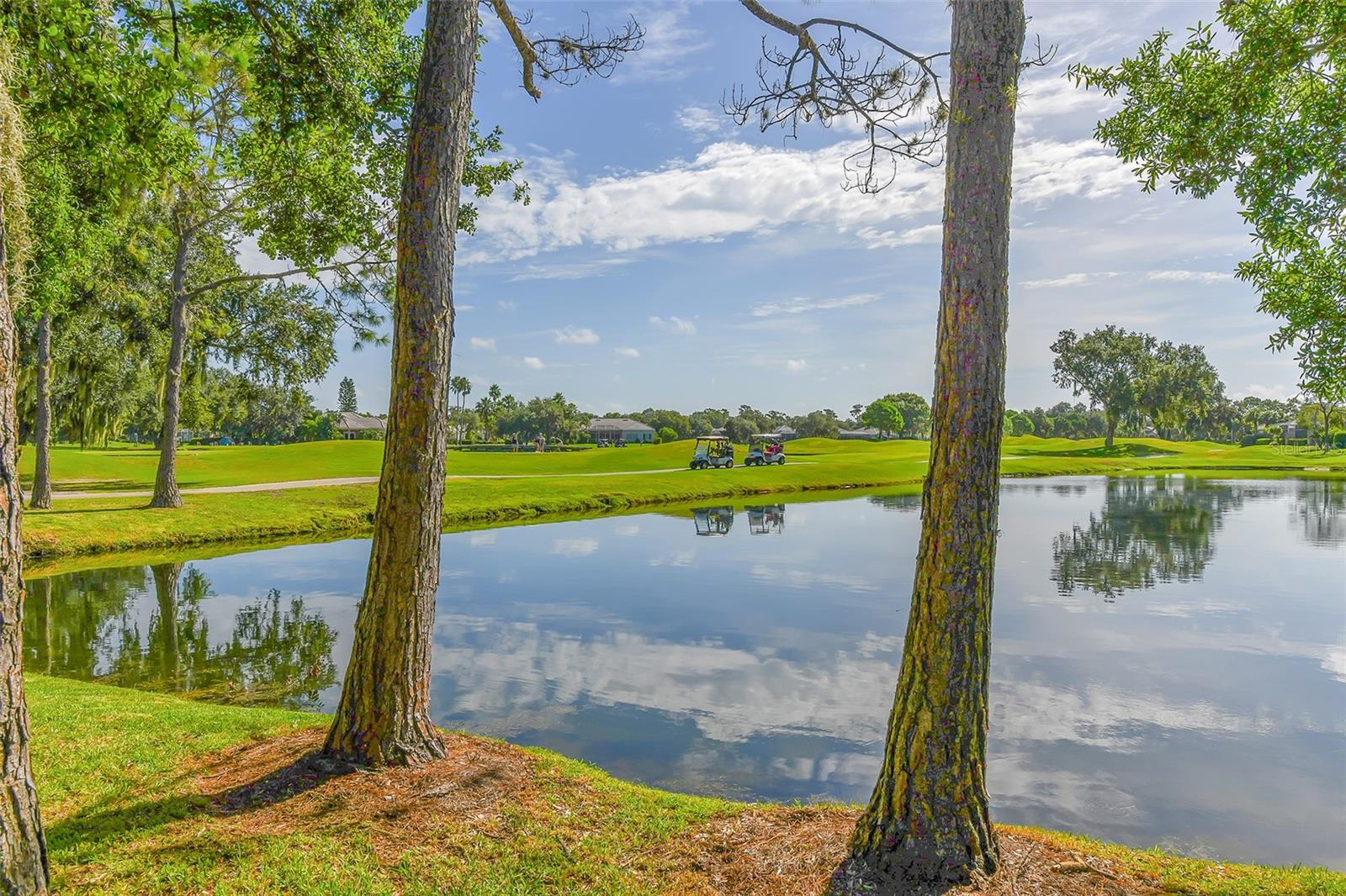 Image 61 of 75 For 5121 88th Street E