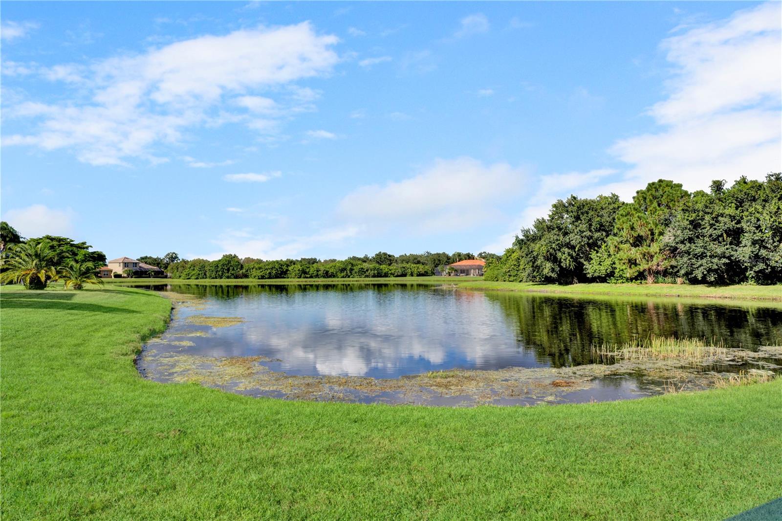 Image 9 of 48 For 12576 Natureview Circle