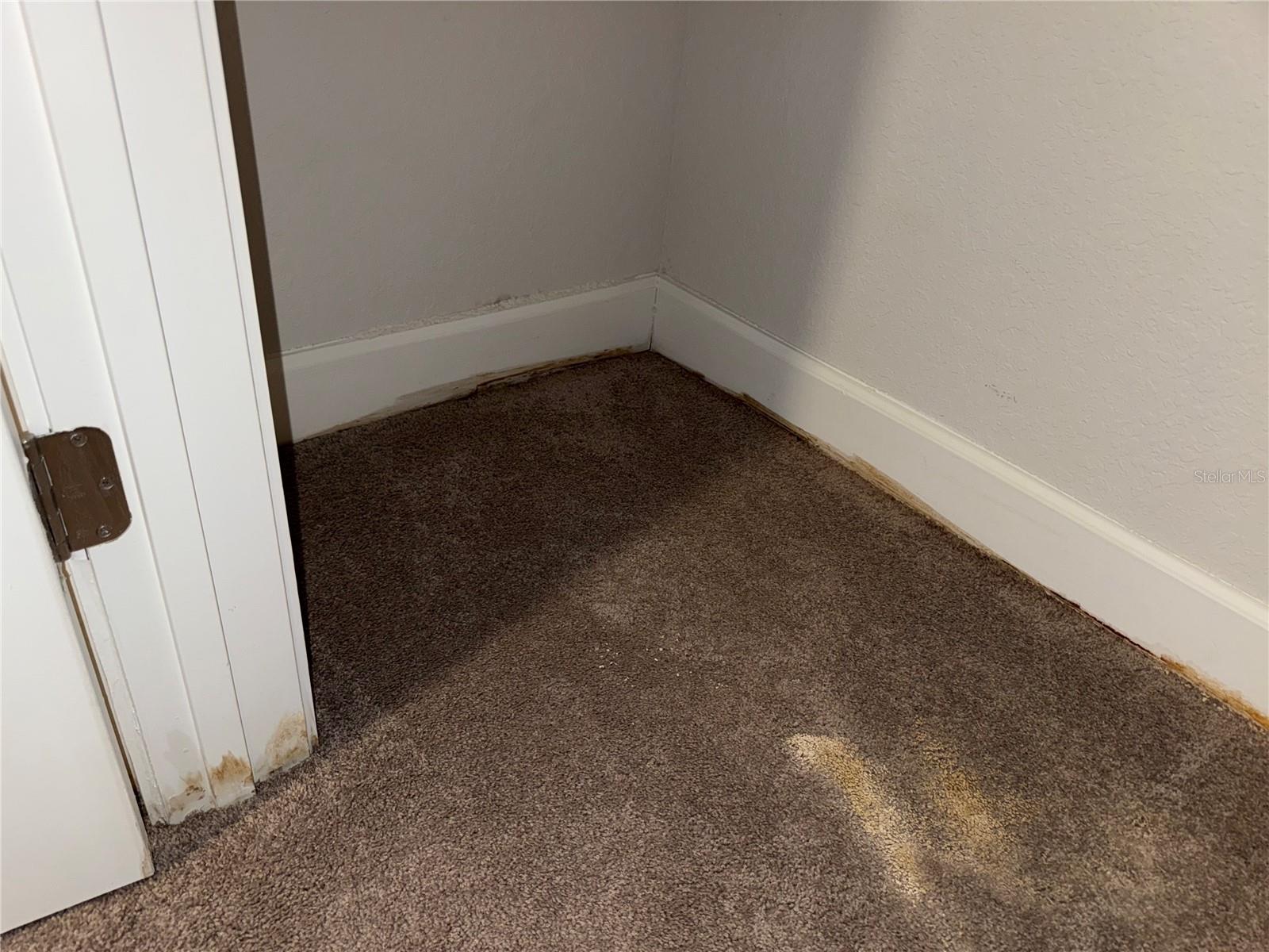 Image 21 of 53 For 14921 Tropical Violet Way