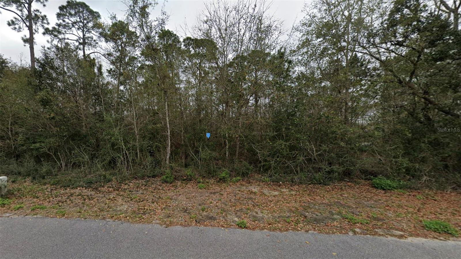 Image 2 of 7 For 3530 Andrew Jackson Drive