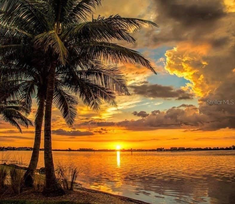 Image 18 of 18 For 5217 81st Street N 14