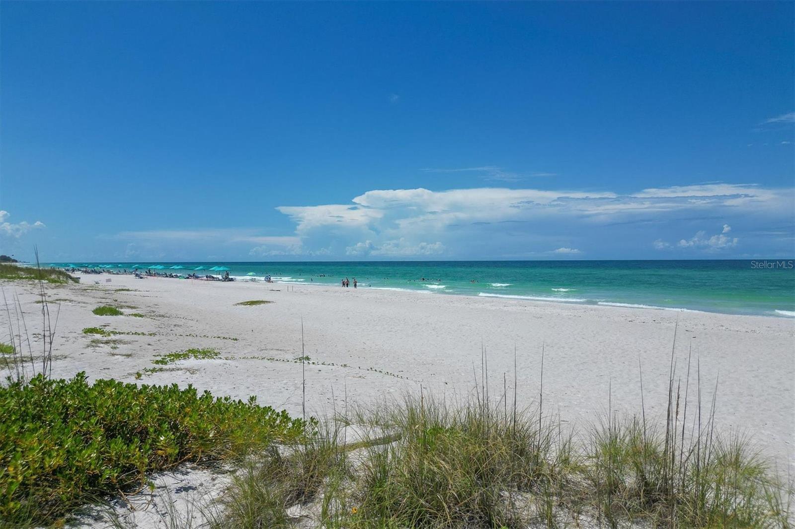 Image 42 of 47 For 3060 Grand Bay Boulevard 175