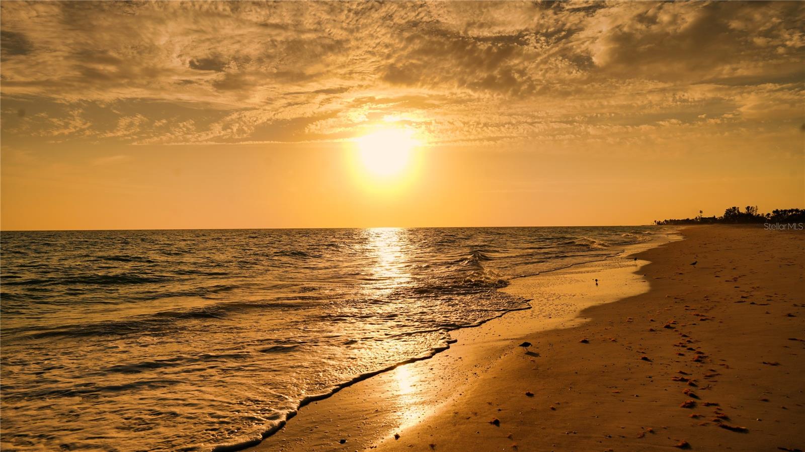 Image 49 of 50 For 6001 Gulf Of Mexico Drive