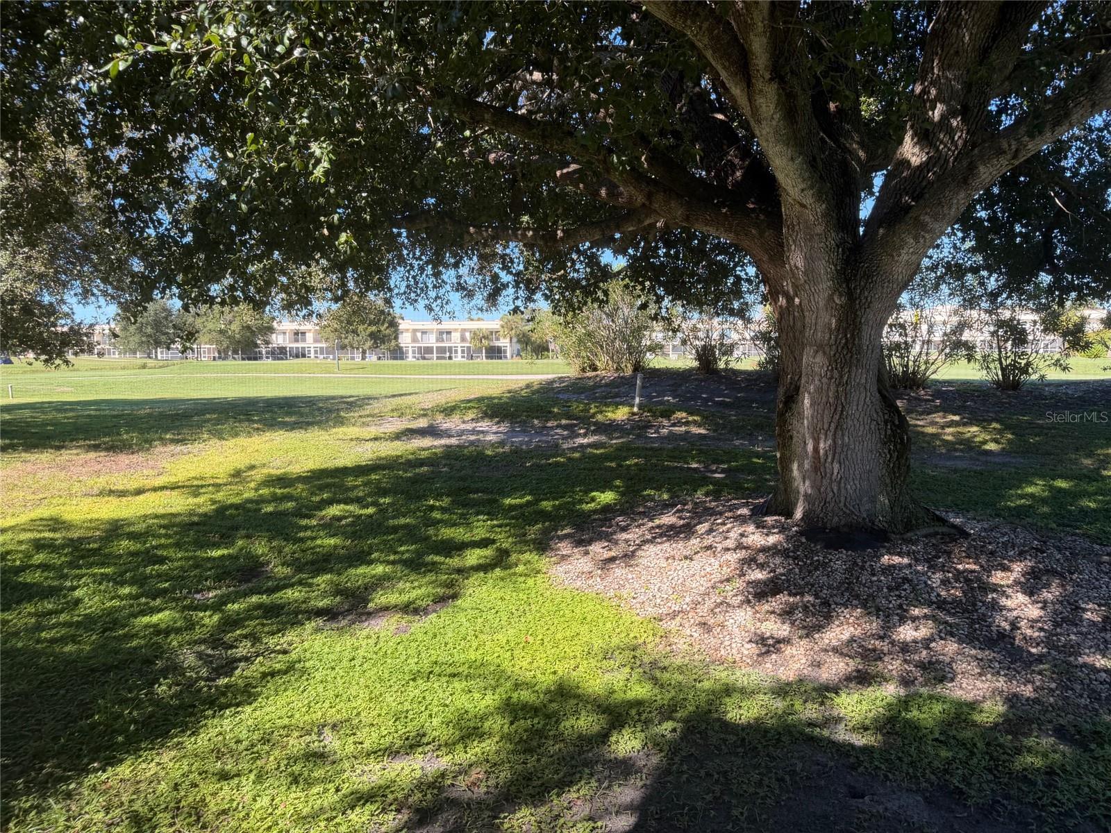 Image 14 of 26 For 1203 Saxony Circle D