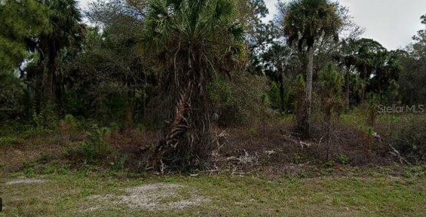Listing Details for 256 Ravenswood Boulevard, PORT CHARLOTTE, FL 33954