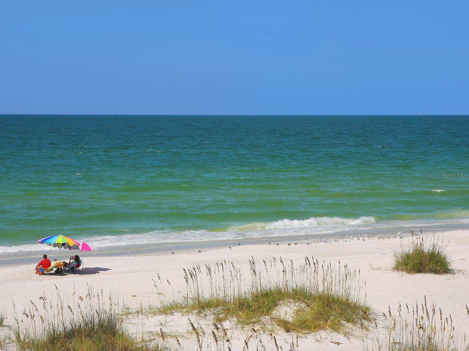 Image 55 of 77 For 3802 Gulf Of Mexico Drive A203