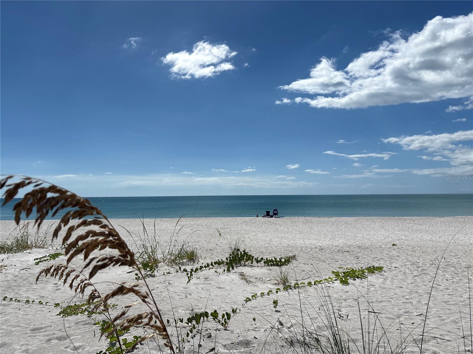 Image 39 of 42 For 2823 Gulf Of Mexico Drive