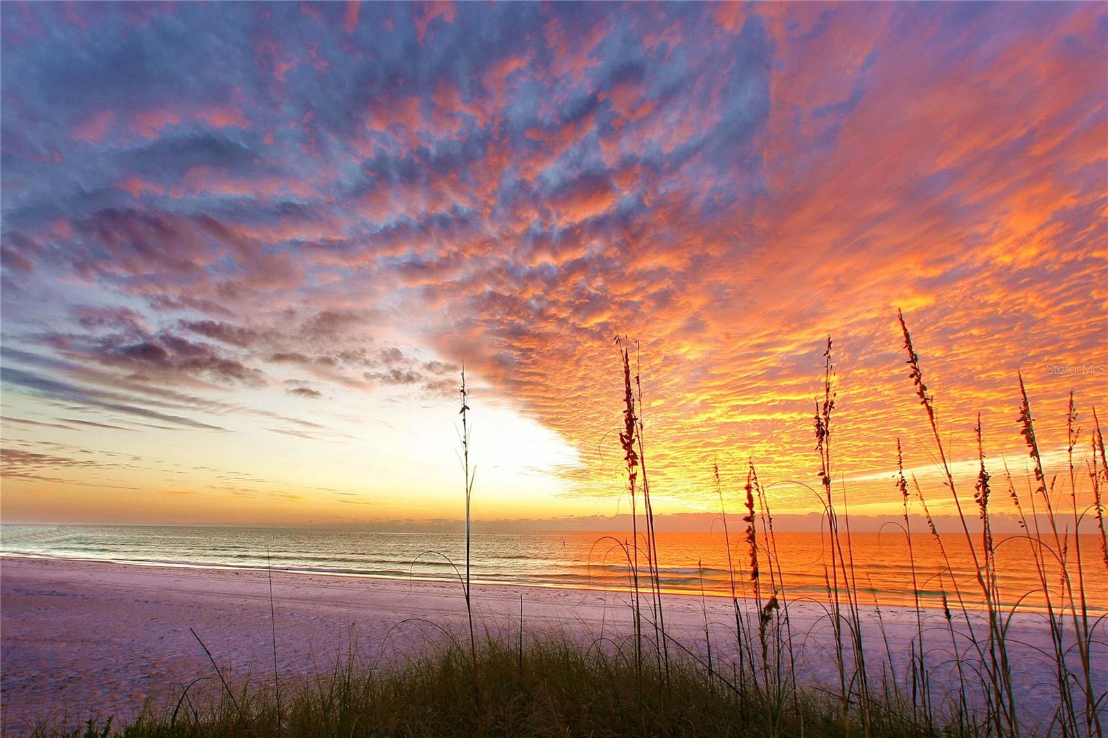 Image 40 of 40 For 161 Vista Hermosa Circle 26-a