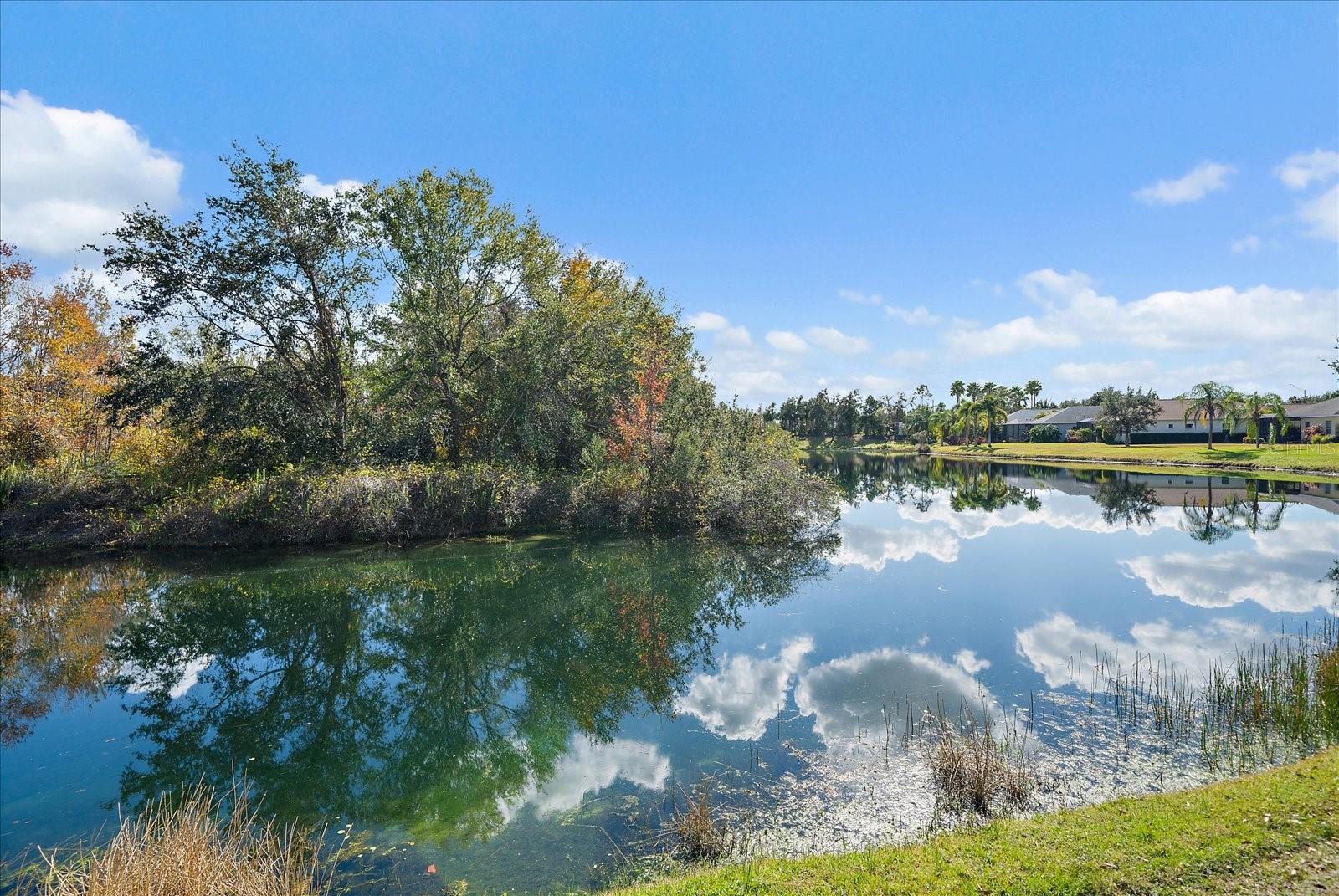 Image 7 of 28 For 11248 White Rock Terrace