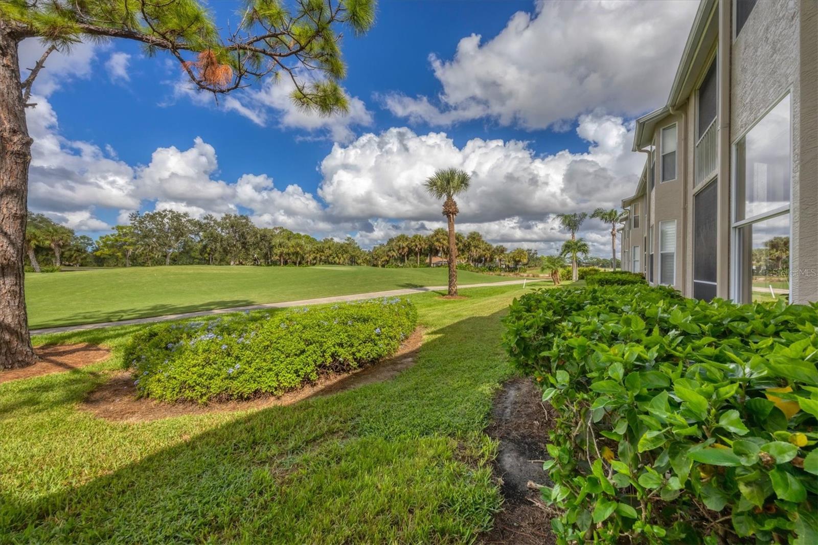 Image 24 of 41 For 9590 High Gate Drive 1912