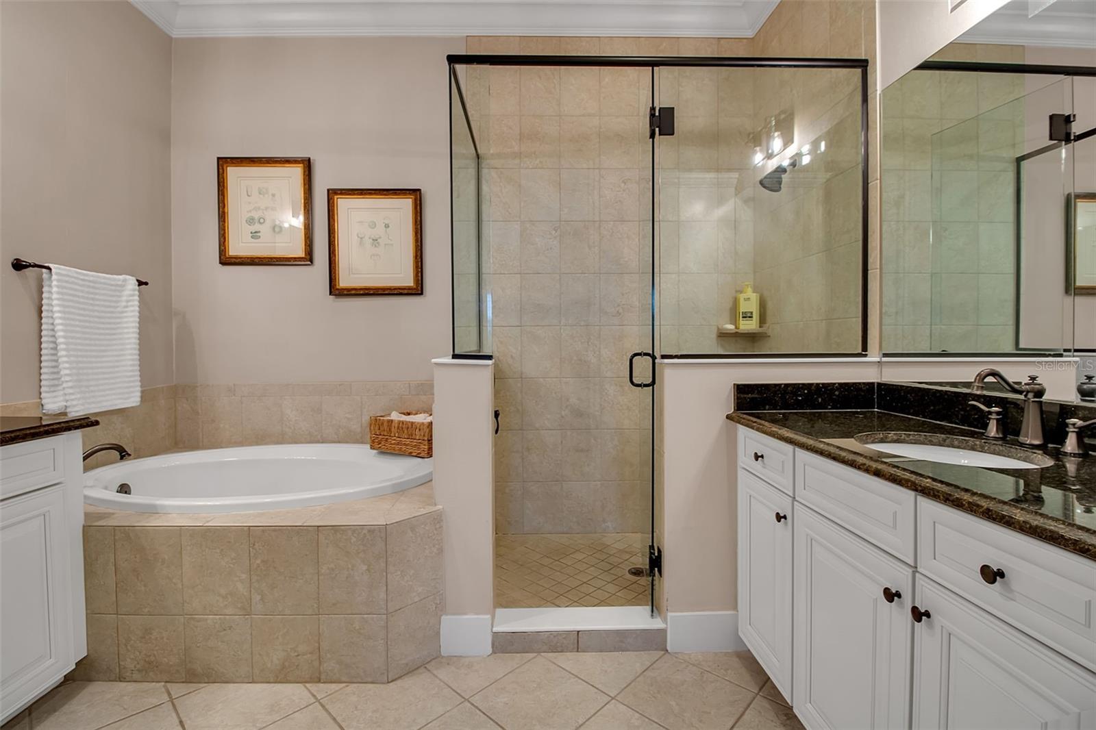 Image 66 of 99 For 321 Sapphire Lake Drive 202