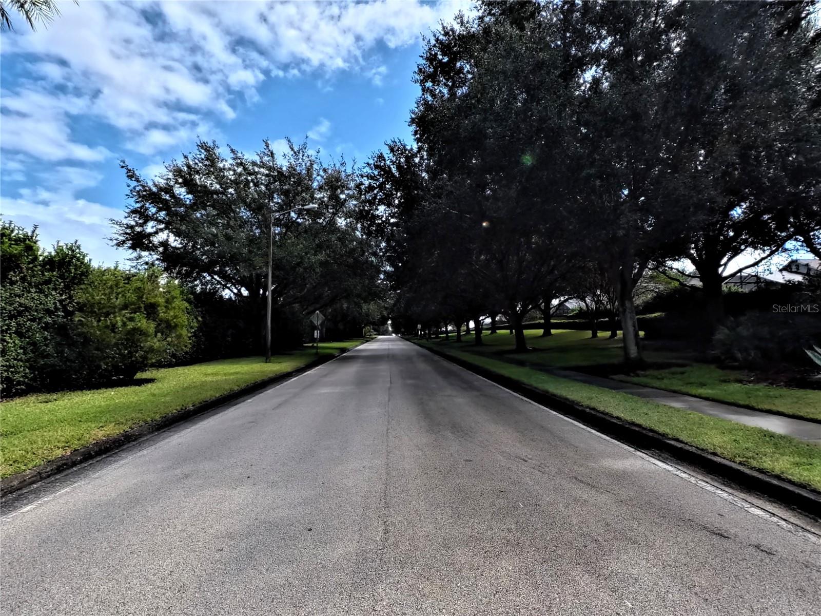 Image 33 of 39 For 359 Lancaster Drive