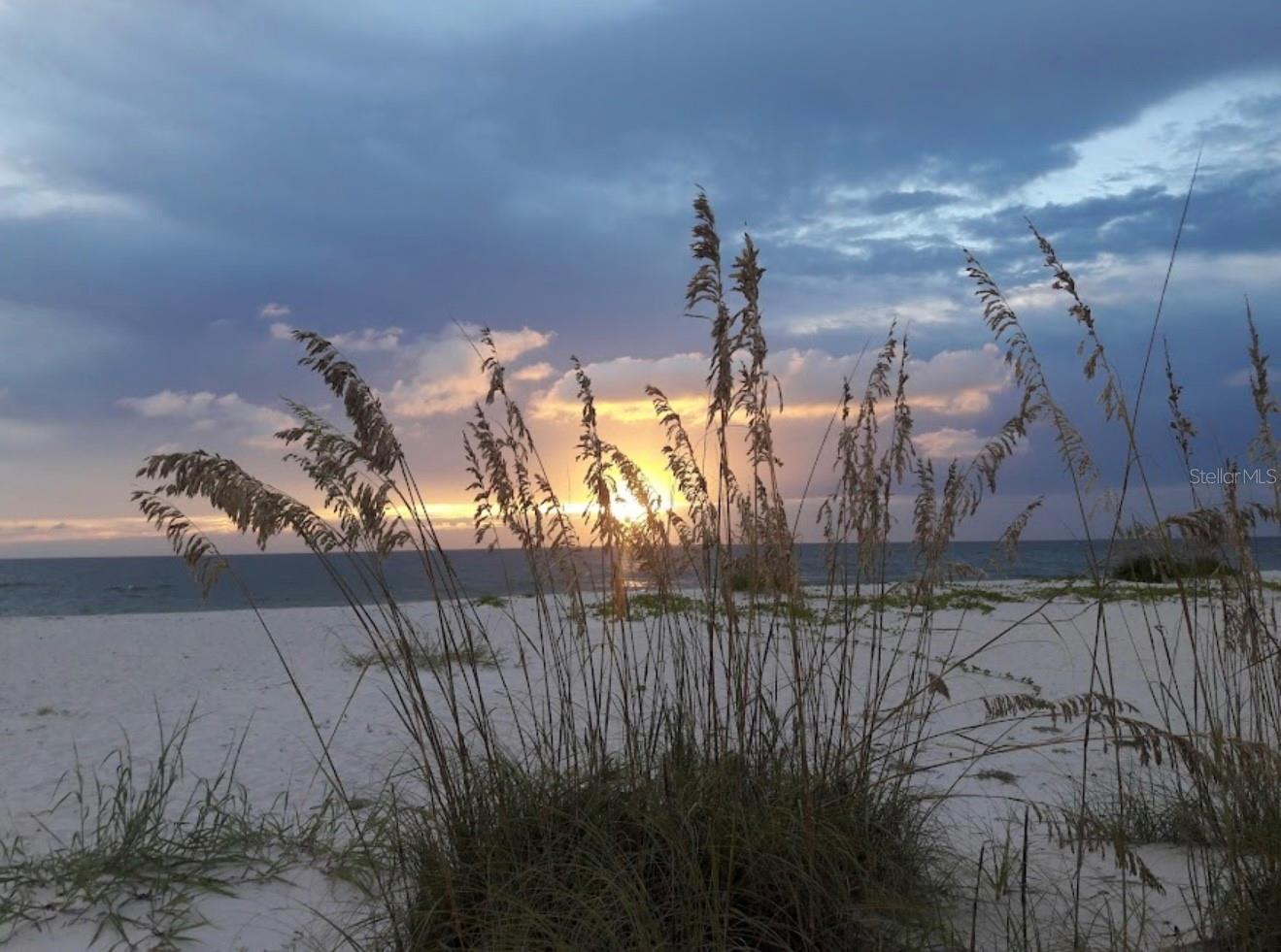 Image 66 of 94 For 9144 Spring Valley Road