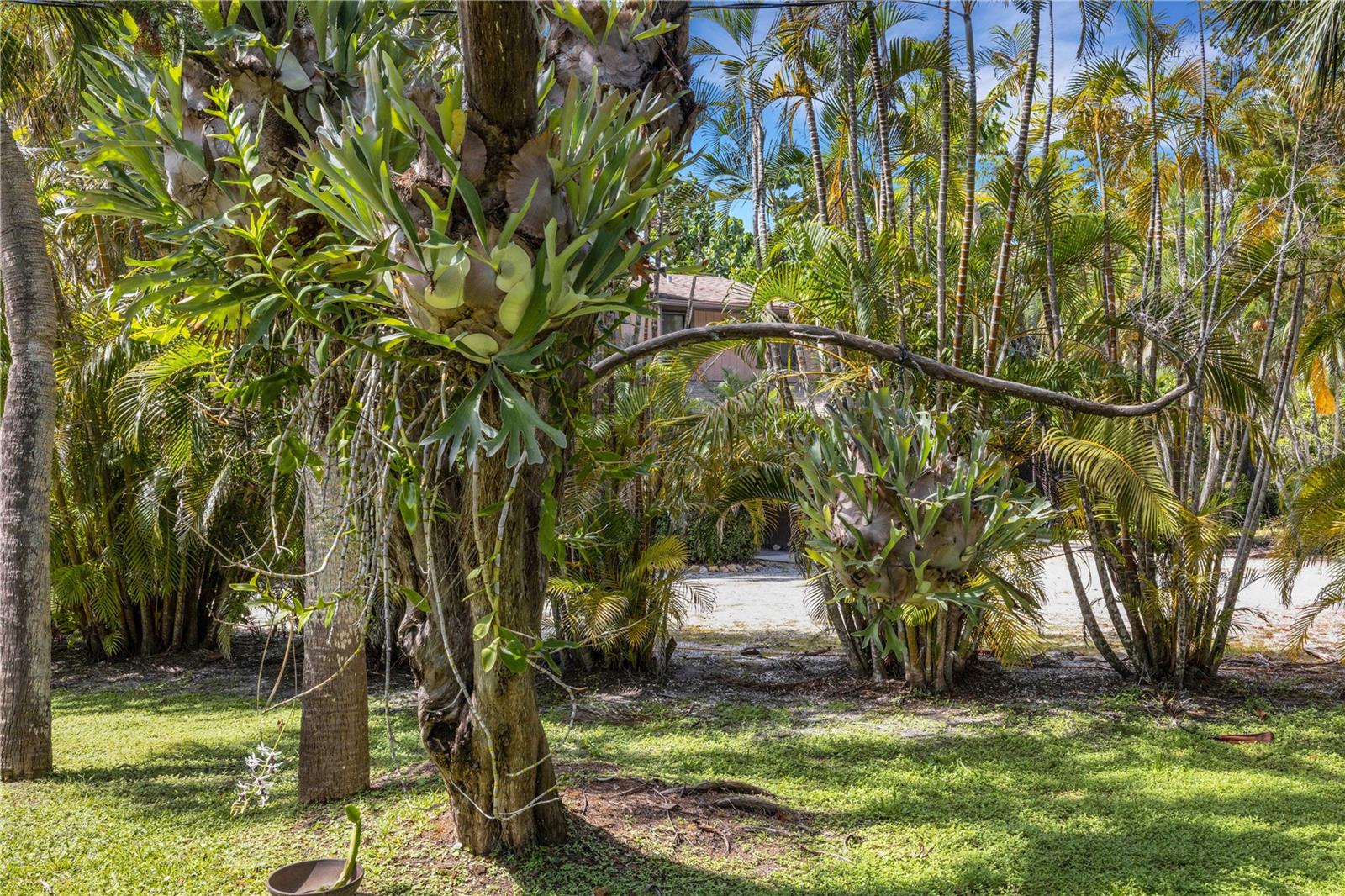 Image 36 of 66 For 62 Sandy Hook Road S