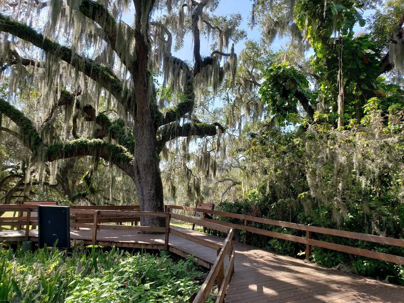 Image 50 of 51 For 4412 Dolphin Lane