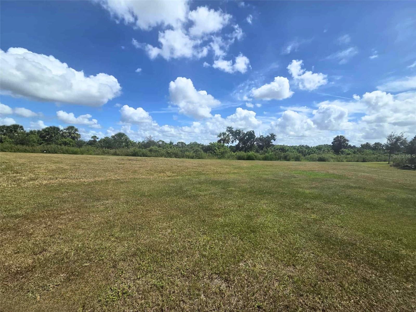 Image 41 of 44 For 3927 Lively Coral Place