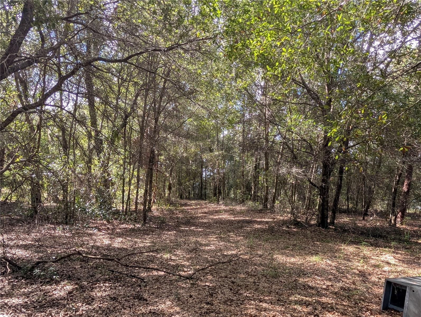 Image 18 of 26 For 11337 Wahoo Trail