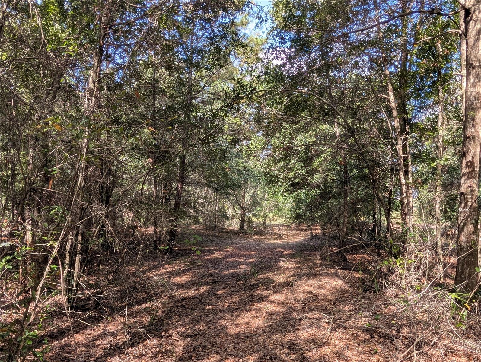 Image 19 of 26 For 11337 Wahoo Trail