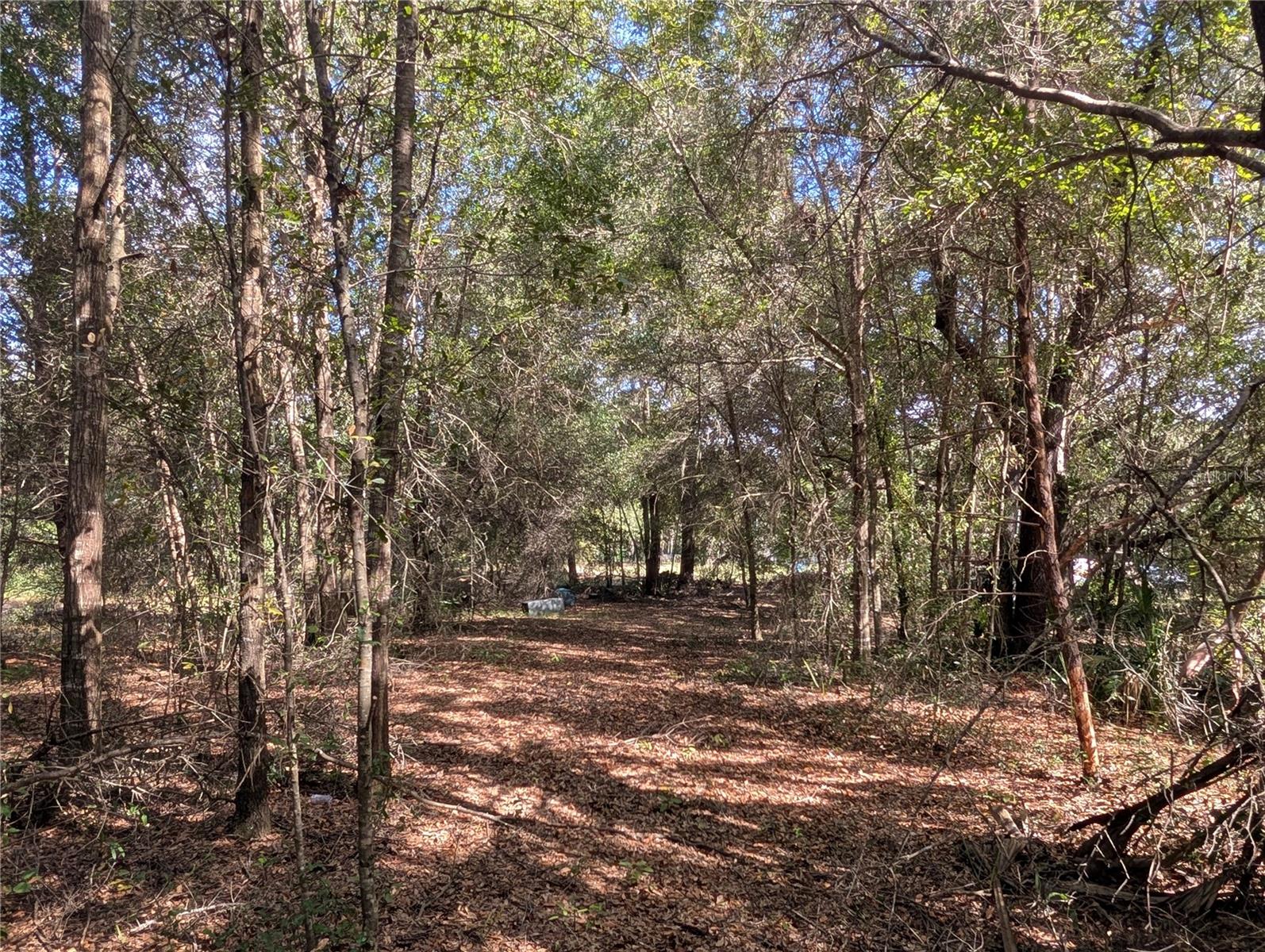 Image 20 of 26 For 11337 Wahoo Trail