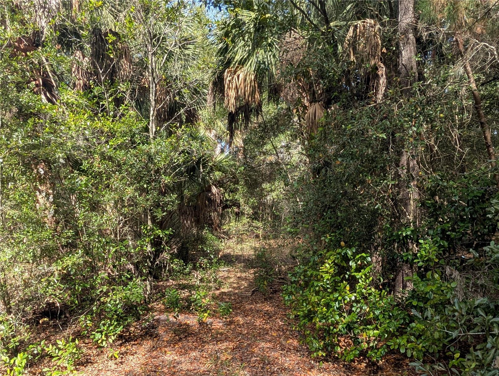 Image 21 of 26 For 11337 Wahoo Trail
