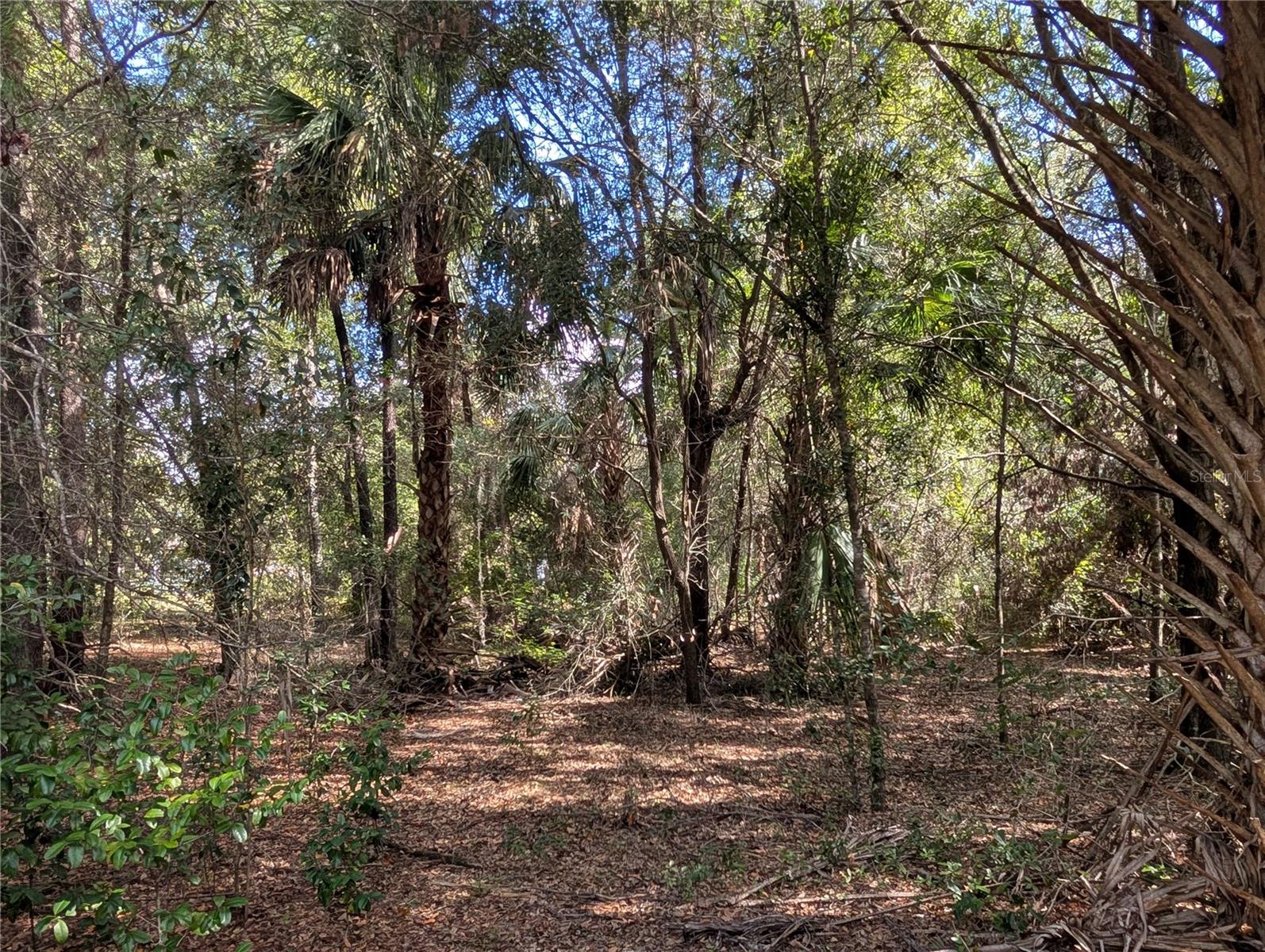 Image 22 of 26 For 11337 Wahoo Trail