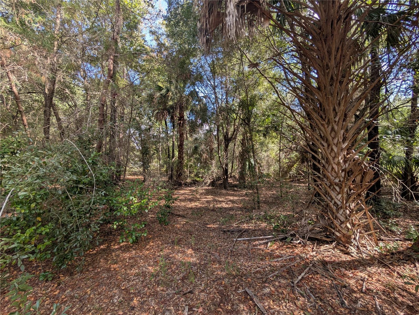 Image 23 of 26 For 11337 Wahoo Trail