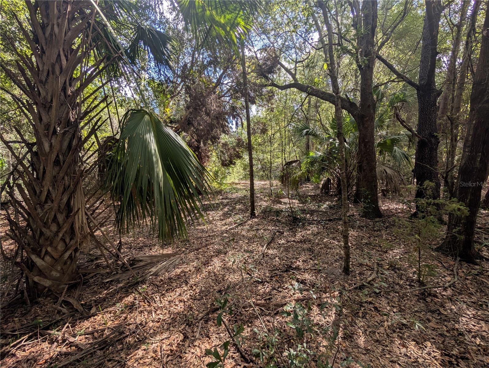 Image 24 of 26 For 11337 Wahoo Trail