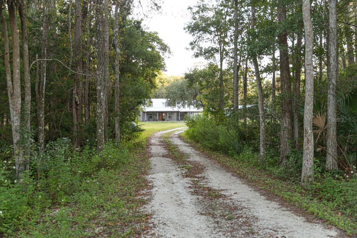 Image 36 of 49 For 1533 County Road 13