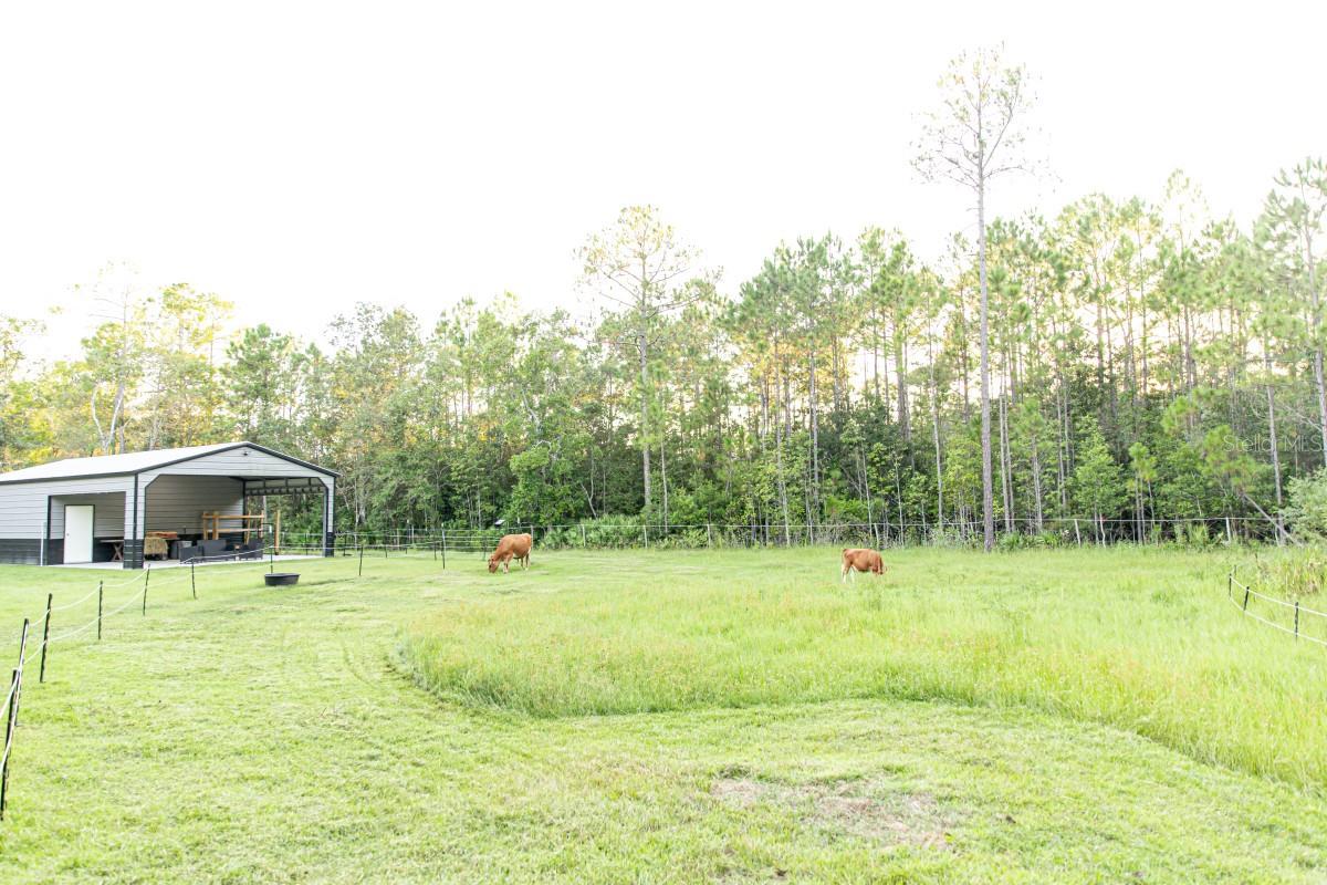 Image 40 of 49 For 1533 County Road 13