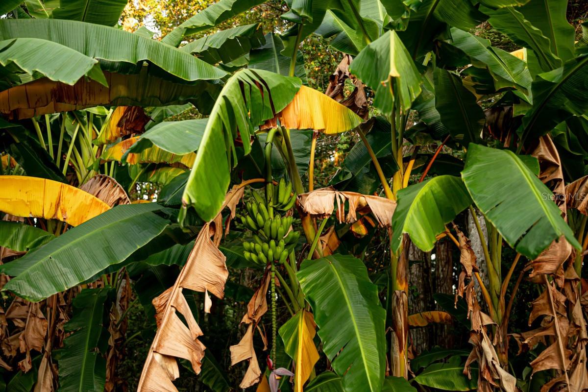 Image 48 of 49 For 1533 County Road 13