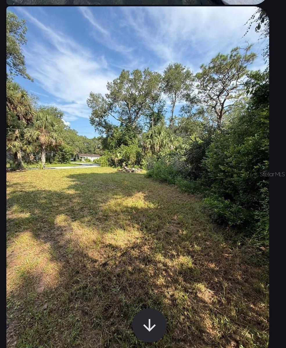 Image 24 of 24 For 31647 Mount Plymouth Loop