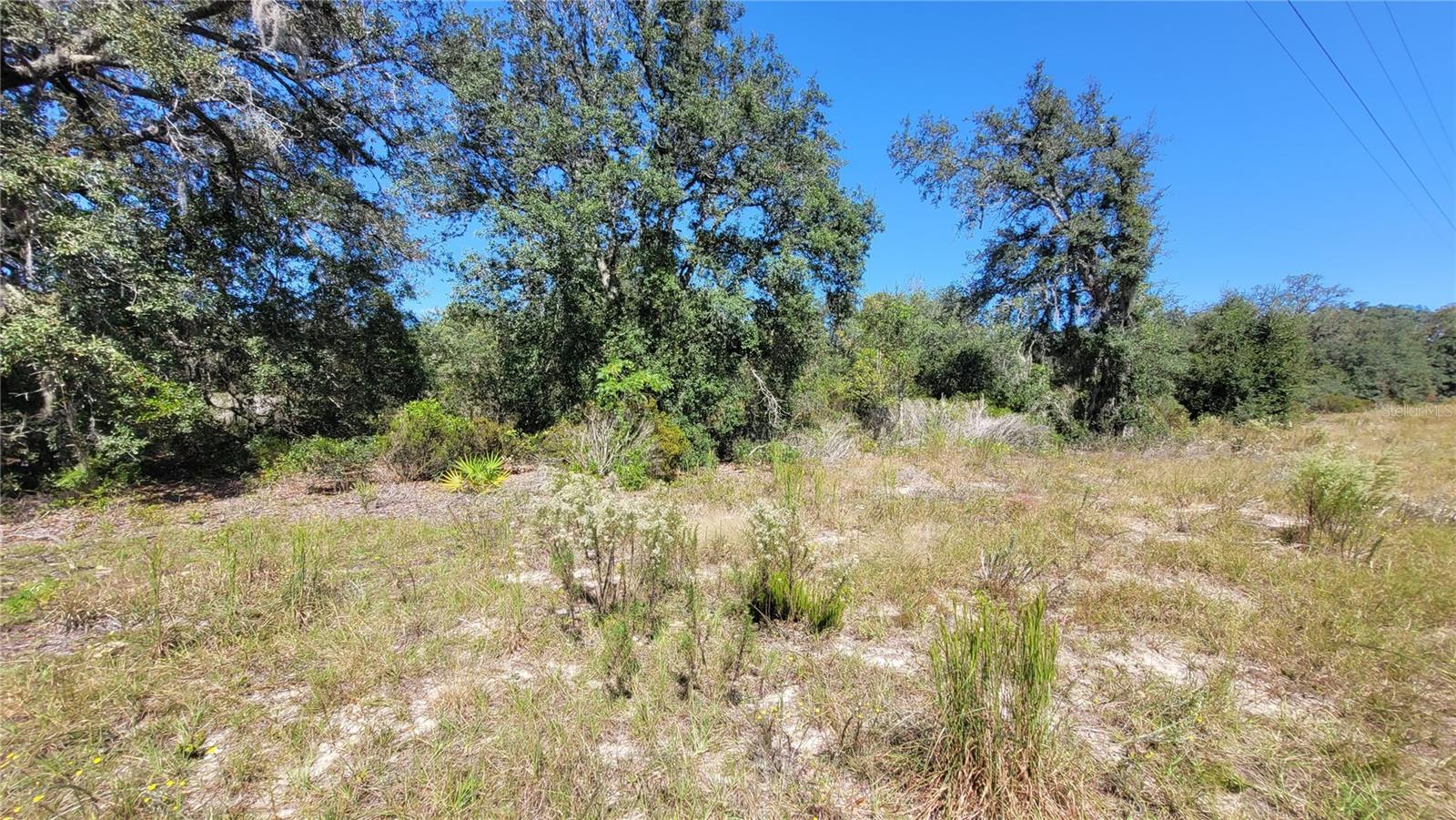 Image 10 of 21 For Tbd 106th Terrace