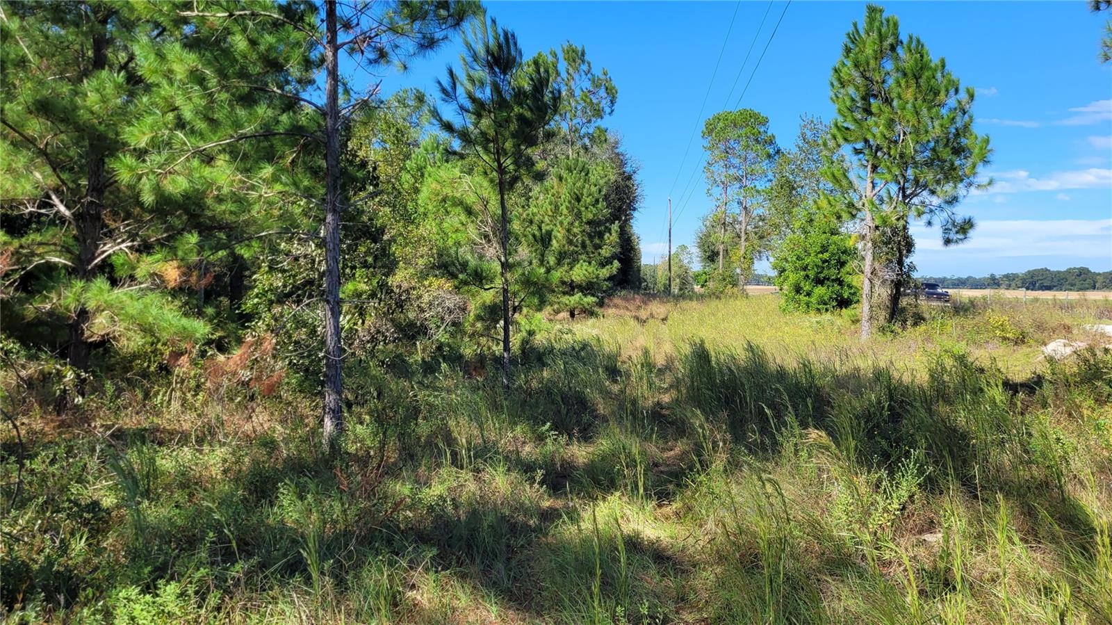 Image 6 of 21 For Tbd 106th Terrace