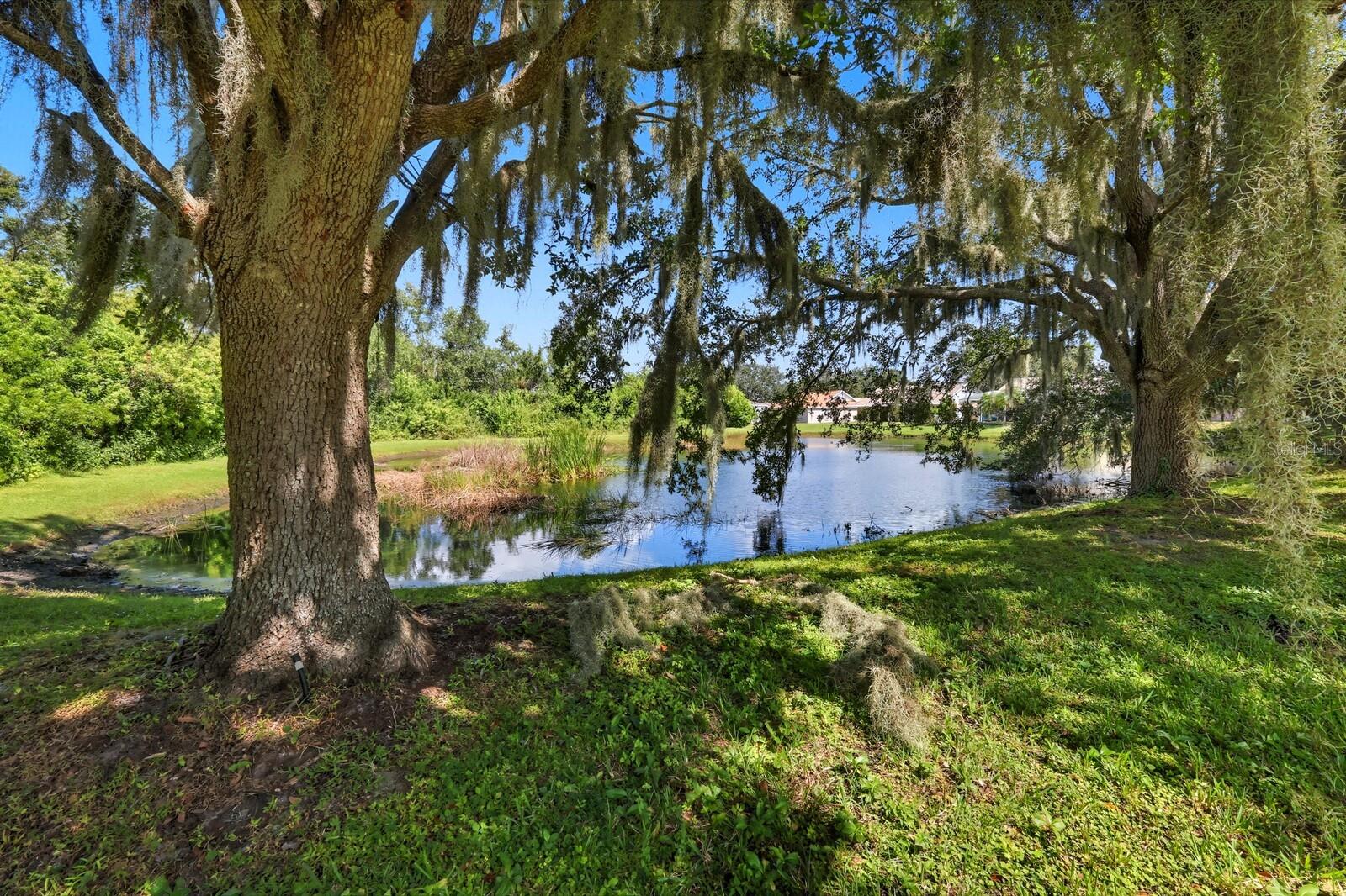 Image 2 of 42 For 11503 Sweetgrass Drive