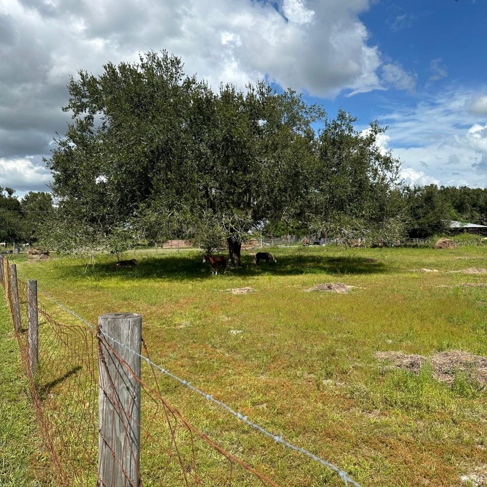 Image 25 of 60 For 8530 Bunker Hill Road