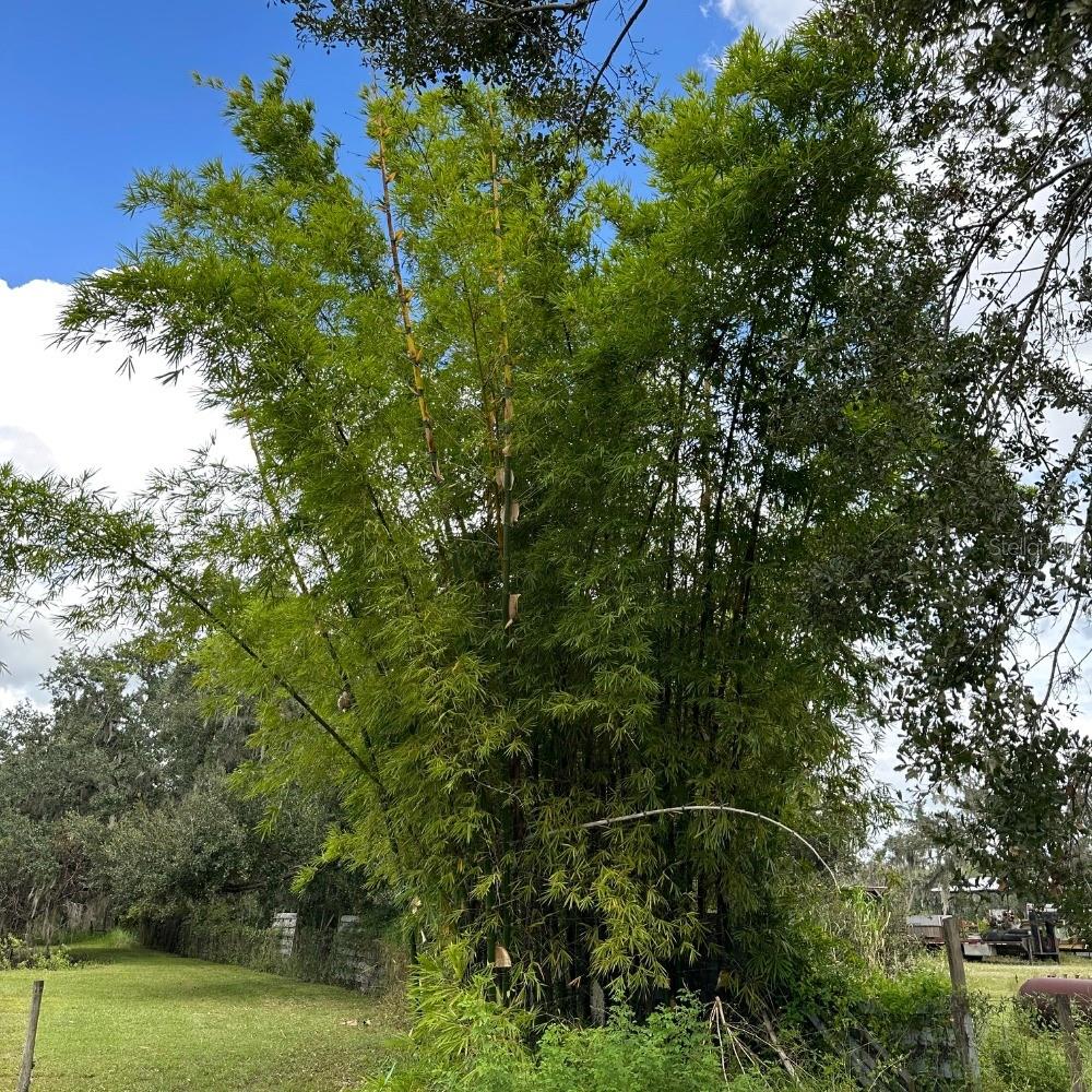 Image 27 of 60 For 8530 Bunker Hill Road