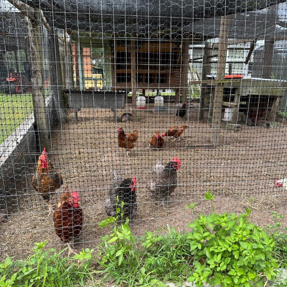 Image 28 of 60 For 8530 Bunker Hill Road