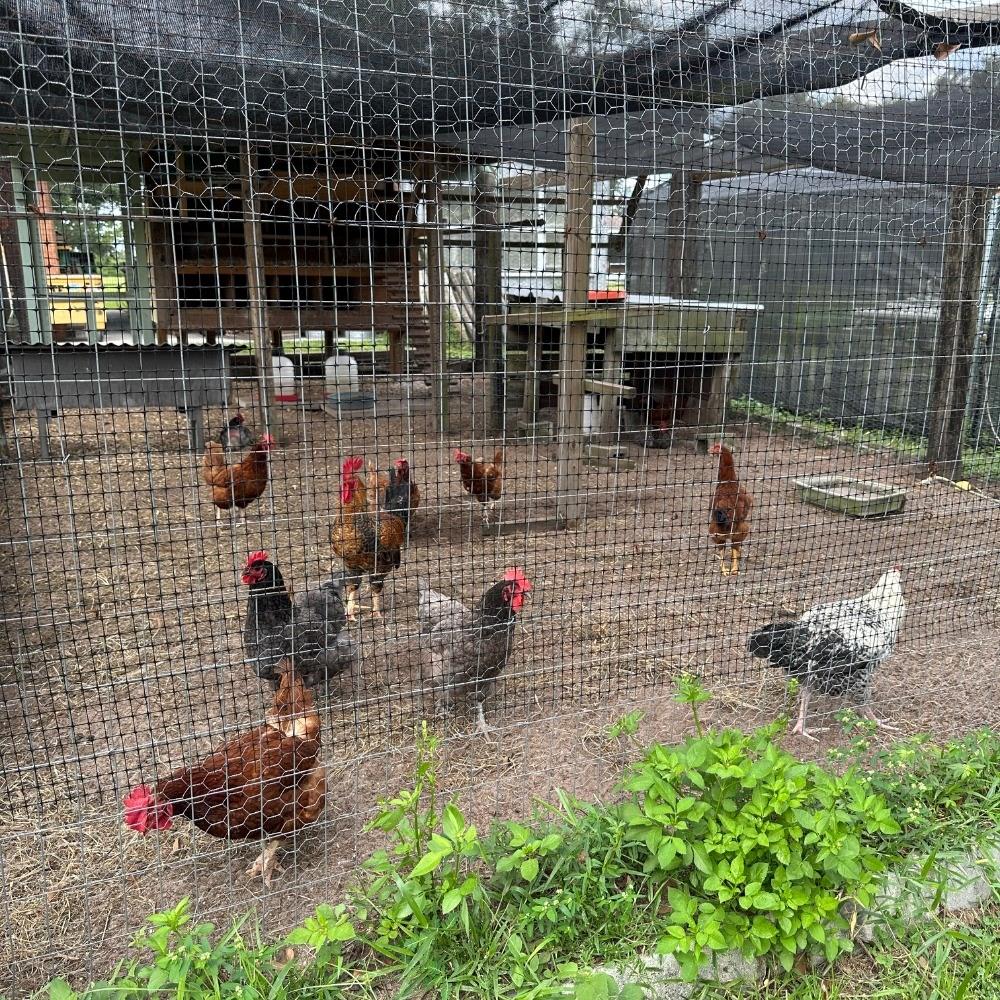 Image 29 of 60 For 8530 Bunker Hill Road