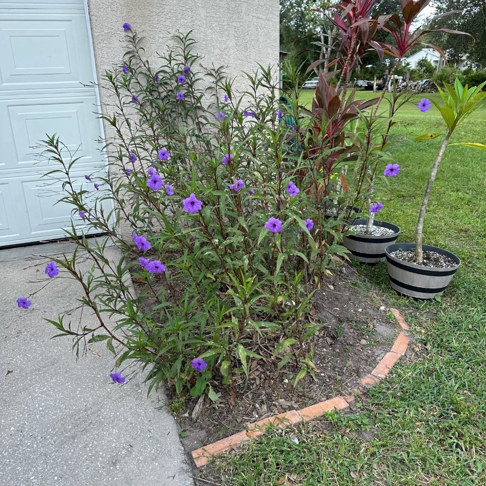 Image 4 of 60 For 8530 Bunker Hill Road