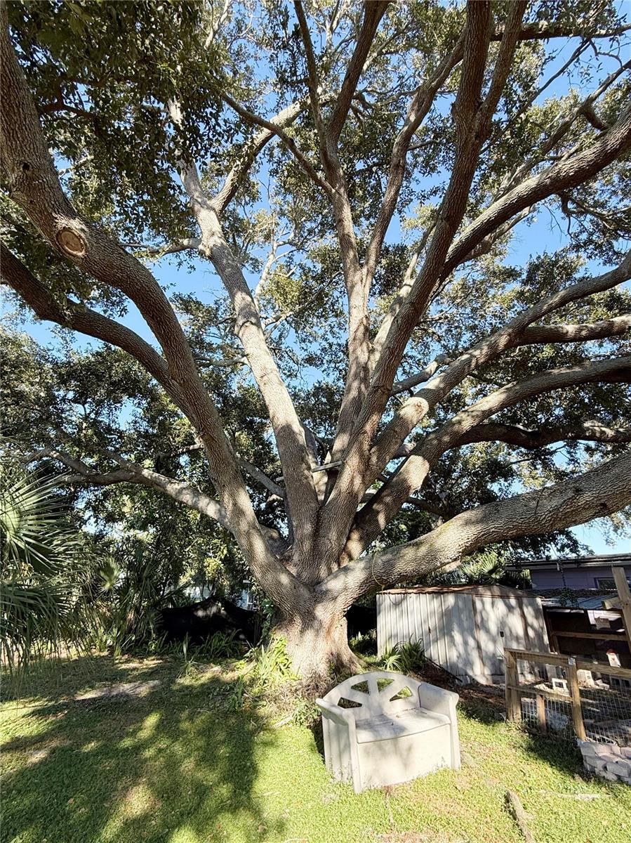 Image 29 of 29 For 3708 Lalani Boulevard