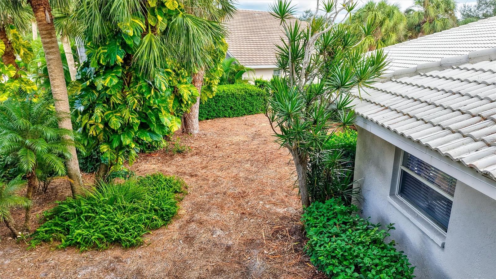 Image 44 of 68 For 2104 Tocobaga Lane