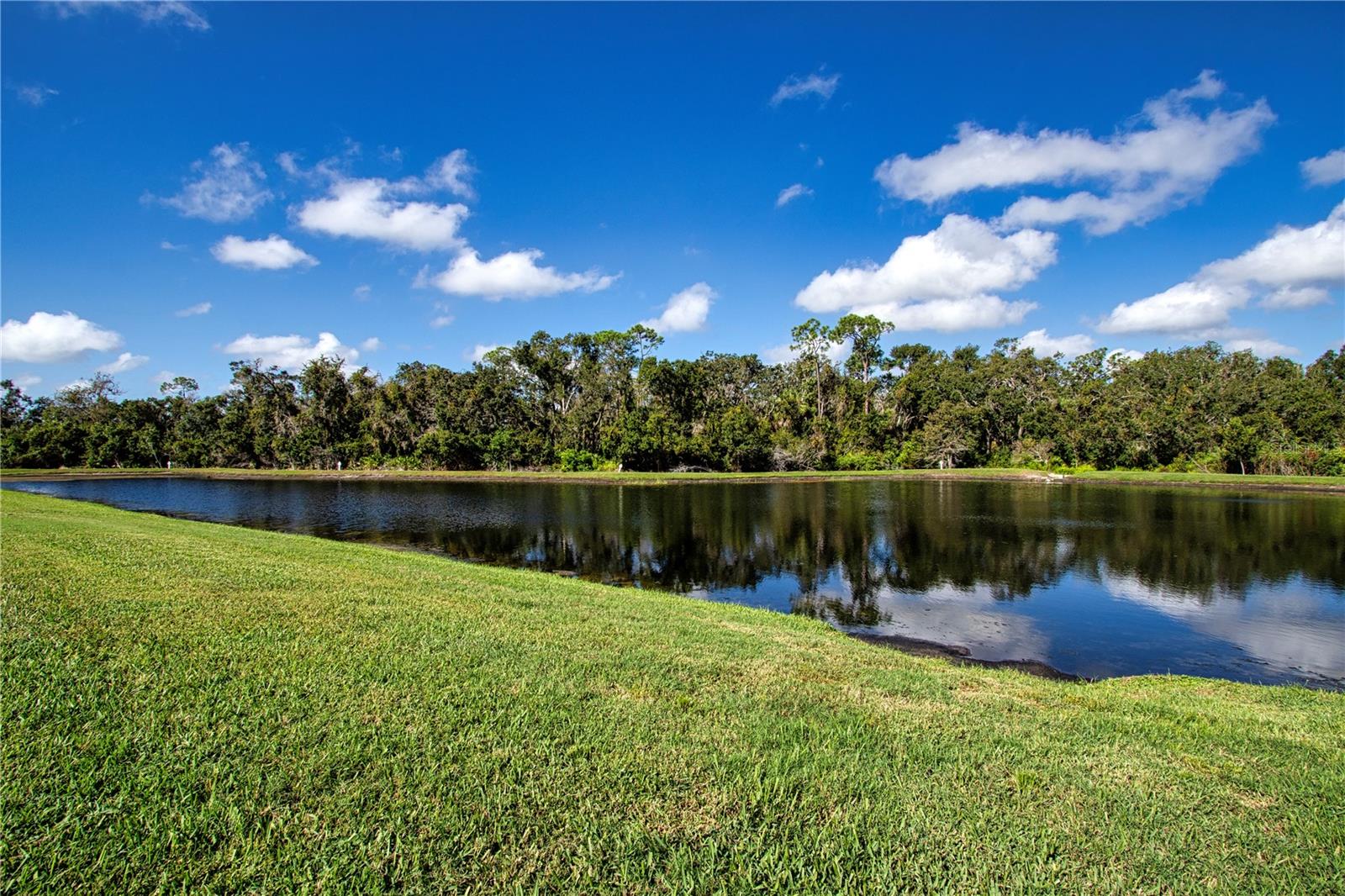 Image 56 of 84 For 4940 Tobermory Way