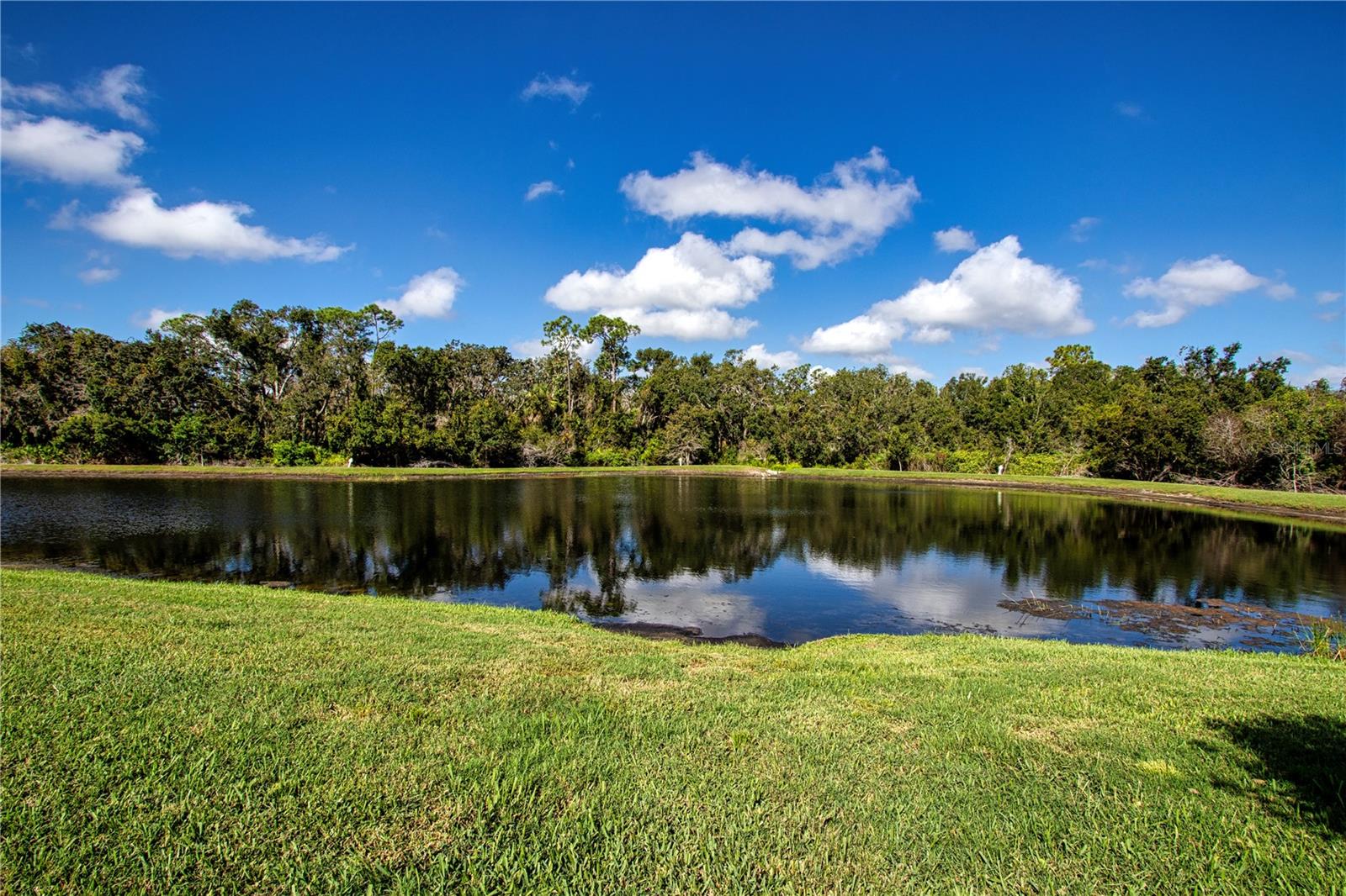 Image 57 of 84 For 4940 Tobermory Way